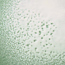 Benvoleo / Glossy Express Conditioner - Per capelli opachi/spenti - Conditioner illuminante 200 ml