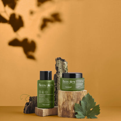 Set Benvoleo / Recovery Shampoo + Mask - ristrutturante