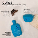 Semi di Lino | Duo Kit Curls