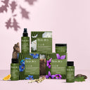 Benvoleo / Glossy Travel Kit - Per capelli opachi/spenti - Shampoo 100 ml + Conditioner 75 ml - Alfaparf Milano