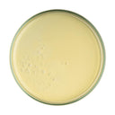Olos | Olio Seta Viso-Corpo-Capelli 100ml